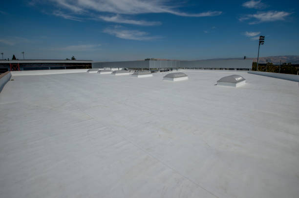 Roof Insulation in Combes, TX